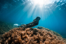 Freediver Woman Glides With Freediving Fins And Seaweed. Freediver And Beautiful Sun Light In Ocean