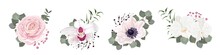 Vector Flower Set. Pink Roses, White Anemones And Orchids, Eucalyptus, Pink Gypsophila, Green Plants And Leaves. Flowers On White Background