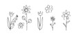 Set meadow flowers in the style of childs drawing. Naive landscape. Outline sketch. Hand drawing is isolated on a white background. Vector