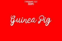 Guinea Pig Idiom Cursive Text Lettering Phrase  On Red Background