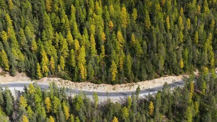 Wall Mural - natural landscape from air. aerial view on the road and forest at the autumn time. forest and road. 