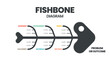 A fishbone or cause and effect 
  diagram is a  brainstorming tool to analyze the root causes of an effect. The vector featured a fish skeleton template for presentation with editable text 