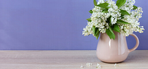 white lilac in a pink jug