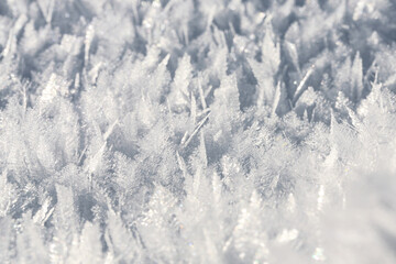 Natural snow crystals. Very frosty weather in the mountains. Macro photography