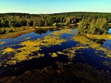 Fototapeta Łazienka - View from the drone on Lake Komosa on a sunny day among the forests of Podlasie.