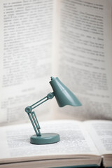 Wall Mural - image of book miniature lamp