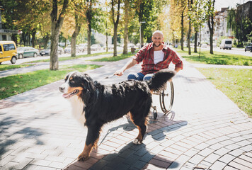 Wall Mural - Happy young man with a physical disability who uses wheelchair with his dog.