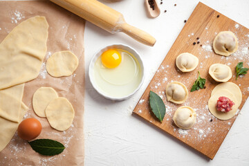 Meat dumplings. Raw dough with minced meat for dumpling on white background 