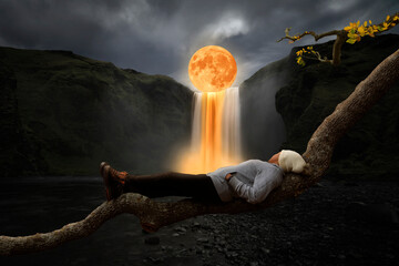 Wall Mural - woman on top of a branch looking at the universe