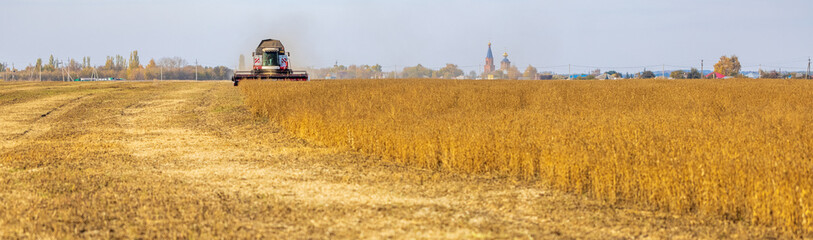 Wall Mural - Combine Harvester Working on a Field. Seasonal Harvesting the Wheat, Soy. Agriculture. Farm. Crop. Agrarian business. Industry 