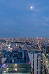 Wall Mural - 東京都渋谷区にある高層ビルから見た東京の夜の都市景観