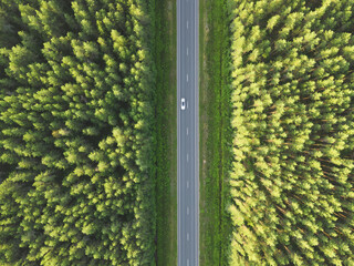 Wall Mural - Aerial view road going through forest. Highway in contryside. Aerial top view of car in forest.  Ecosystem and healthy environment concepts and background...