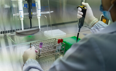 Scientist or lab worker hand in glove using pipette dropper dropping sample to plate of research laboratory drug resistant testing in bio-safety cabinet in hospital. Coronavirus testing.