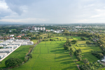 Wall Mural - land or landscape of green field in aerial view. include agriculture farm, house building, village. 