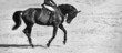 Rider and horse in jumping show, black and white. Beautiful girl on horse, monochrome, equestrian sports. Horse and girl in uniform going to jump. Horizontal web header or banner design.