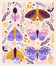 Boho Insects Boho Bug Insect Free Stock Photo - Public Domain Pictures