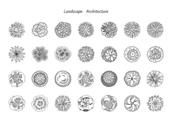 Trees top view for architecture landscape design projects