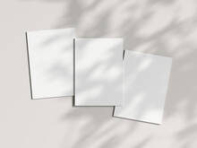 Three Vertical Cards Mockup In Boho, Invitation Mockup, Greeting Card On Beige Background, 3d Render