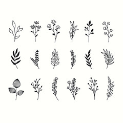 Wall Mural - collection of floral decorative logo wedding vector elements