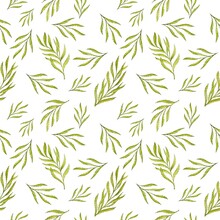 Narrow Green Decorative Tree Branches With Willow Leaves On A White Background. Seamless Square Pattern. Watercolor