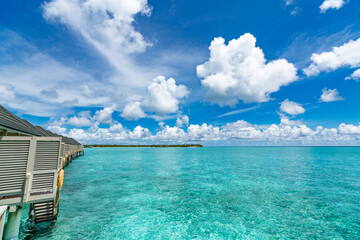 Wall Mural - Perfect tropical island paradise beach Maldives