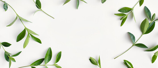 banner made of branches with green leaves on white background. flat lay, top view, copy space