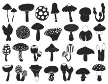 Mushroom Toadstool Isolated Black Set Icon. Vector Illustration Fungus On White Background.Black Vector Set Icon Mushroom Toadstool .