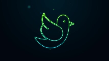 Wall Mural - Glowing neon line Dove icon isolated on black background. 4K Video motion graphic animation