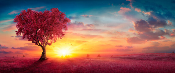 Wall Mural - heart tree - love for nature - red landscape at sunset