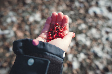 Wall Mural - Hand with berry