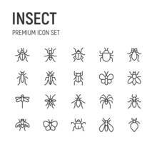 Set Of Insect Line Icons.