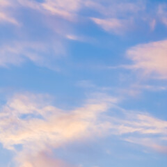Wall Mural - Background of blue sky with white pink clouds in sunset