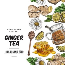 Hand Drawn Ginger Tea Social Media Poster Template, Sketch Vector Illustration On White Background.