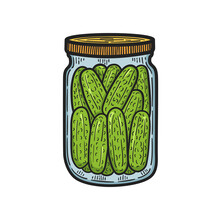 Hand Drawn Jar Of Canned Cucumbers. Colourful Sketch. Vector Illustration