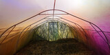 Fototapeta  -  tęczowy tunel  foliowy cieplarnia wiosną gotowy do zasiewów