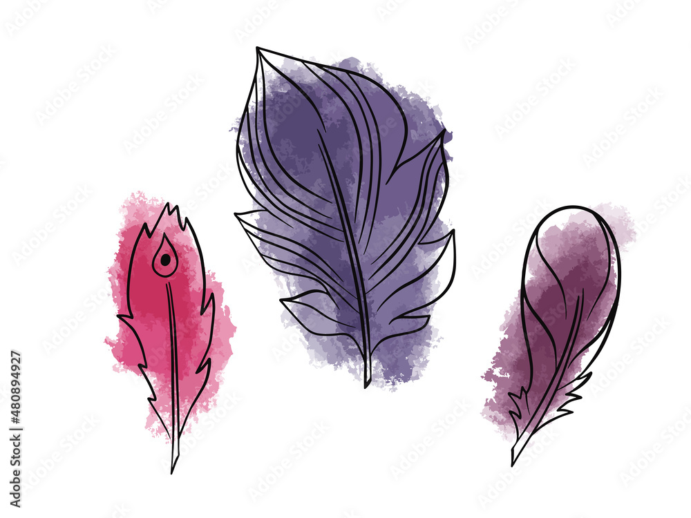 Hand drawn vector illustration bohemian, tribal, ethnic feathers. Stock ...