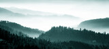 Fototapeta Góry - Amazing mystical rising fog mountains sky forest trees landscape view in black forest ( Schwarzwald ) winter, Germany panorama panoramic banner - mystical snow foggy mood