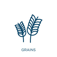 Poster - grains icon. Thin linear grains, grain, seed outline icon isolated on white background. Line vector grains sign, symbol for web and mobile