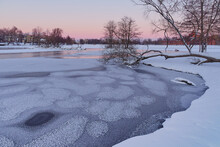 Lake Near The Dam In Winter: January, Before Sunset, Sestroretsk, Shore, Fallen Tree, Old Willow.