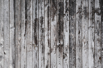 Poster - Old distressed wooden wall