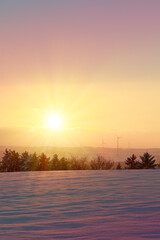 Wall Mural - sunset under the winter trees. christmas background.