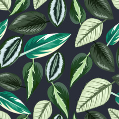 Wall Mural - Seamless pattern with tropical beautiful leaves exotic background.