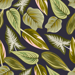 Wall Mural - Seamless pattern with tropical beautiful leaves exotic background.