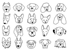 Set Of Cute Dog Face. Collection Of Funny Cartoon Puppy Portrait. Lovely Animal. Dog Lover. Vector Illustration Of Pedigreed Pet. Veterinary Icons. Logo Of The Dog. 