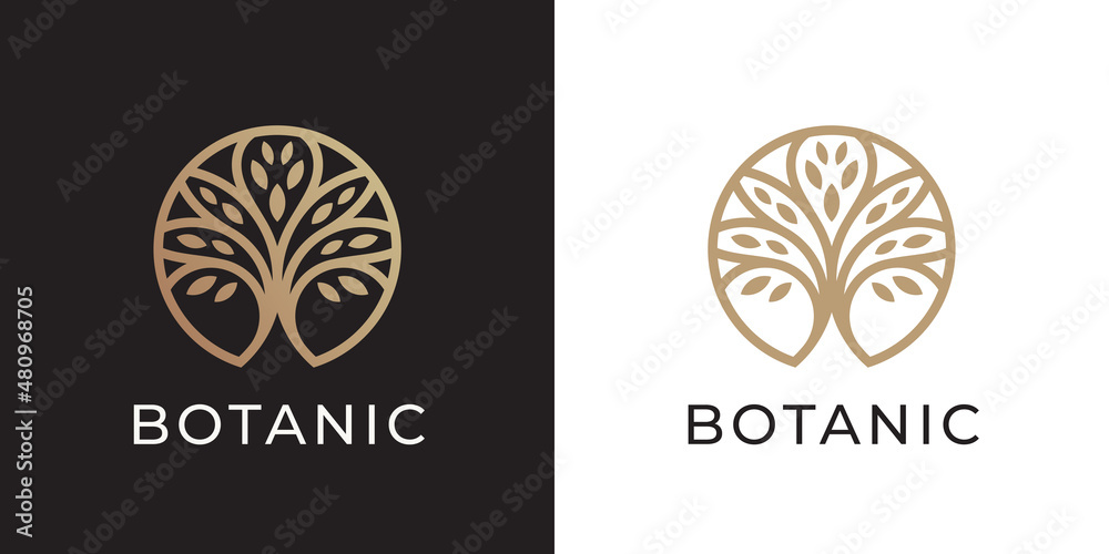 Tree of Life logo line icon. Abstract nature branch leaves symbol ...