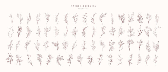 Wall Mural - trendy floral branch and minimalist flowers for logo or decorations. hand drawn line wedding herb, e