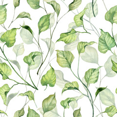 Naklejka na meble Square seamless pattern with botanical green leaves on twigs. Loopable green branches on white background. Watercolor hand painted floral wallpapers