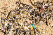 Pollution granulés plastiques sur une plage de sable, détail des déchets (4/4). Réserve naturelle du Courant d'Huchet, Landes, France