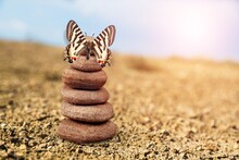 Spa Stones On The Beach And Butterfly On Sun Background. Spa Concept.