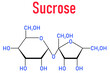 Sucrose sugar molecule. Also known as table sugar, cane sugar or beet sugar. Skeletal formula.